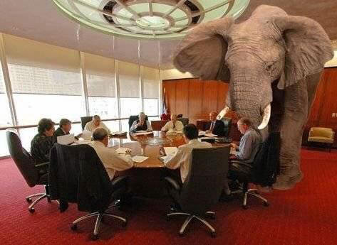 Do you see the elephant in the room? 